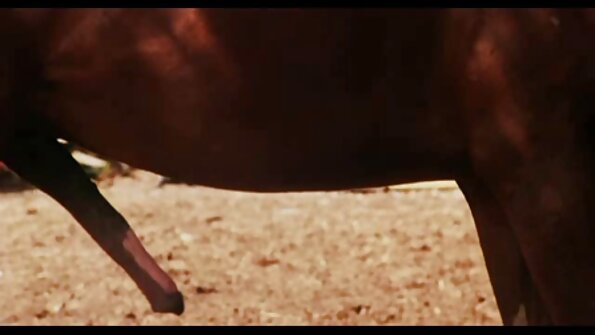 I slatka brineta kovrdžave kose se nabija i liže